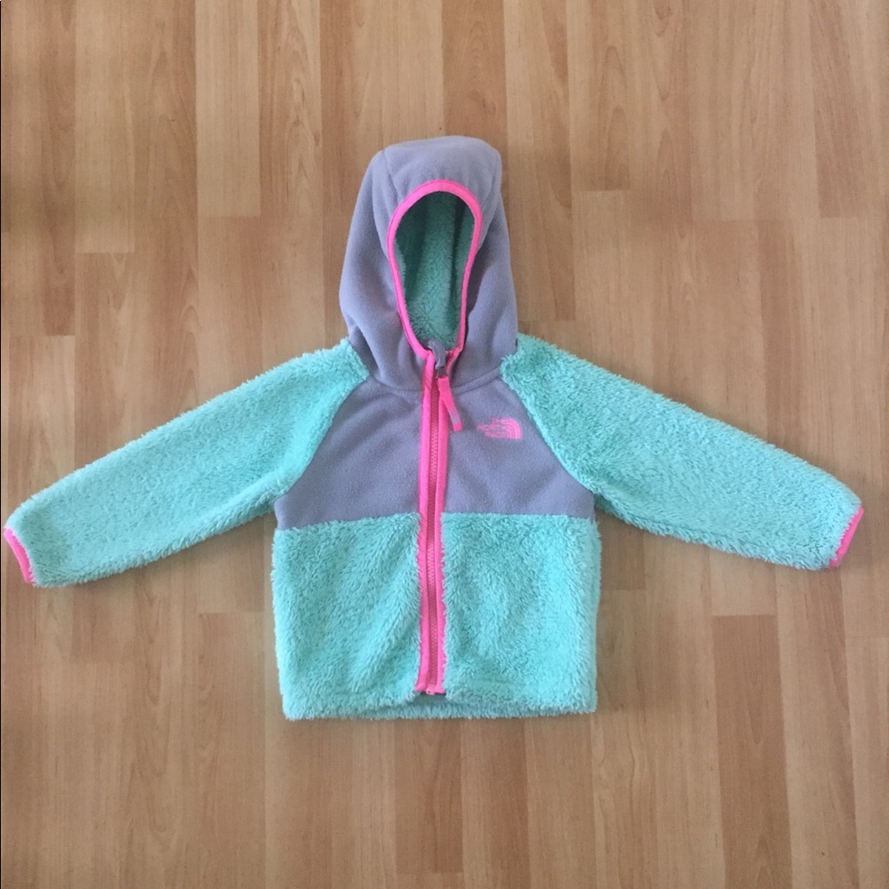 Toddler Girls North Face Hoodie